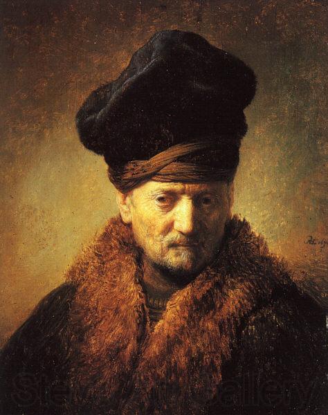 REMBRANDT Harmenszoon van Rijn Bust of an Old Man in a Fur Cap fj